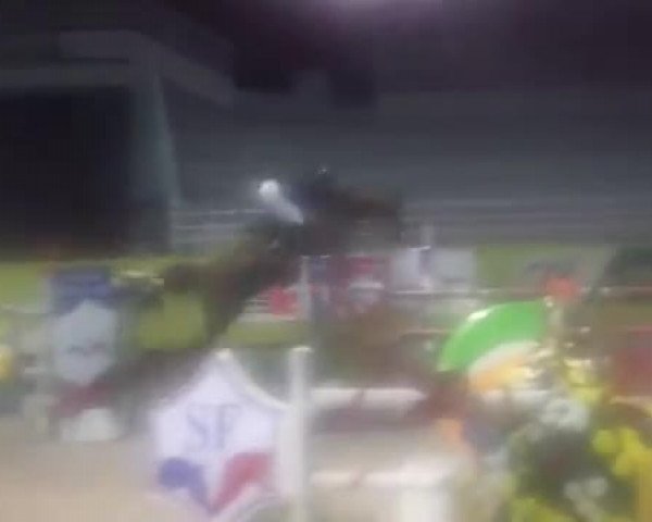 Video of Dorian Red 2
