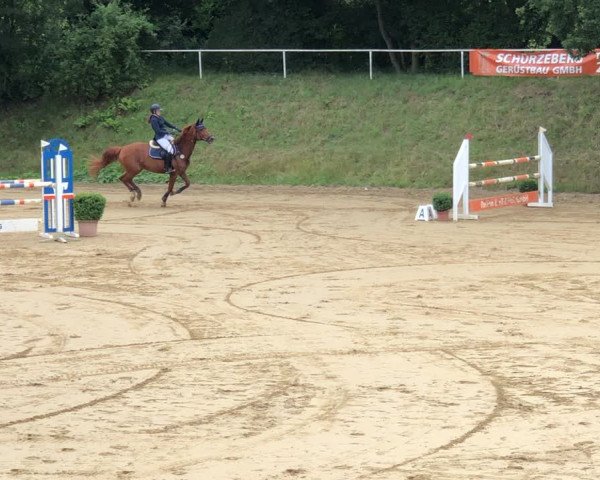 Reitturnier Viersen-Dülken 2020