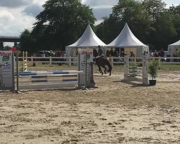 Video von Deichfräulein