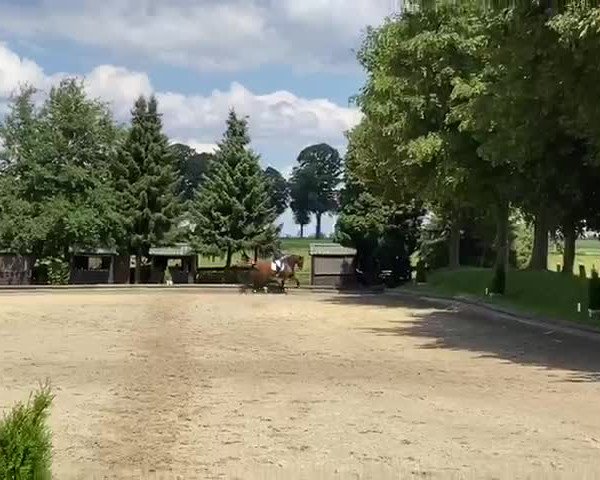 Reitturnier Datteln 2020