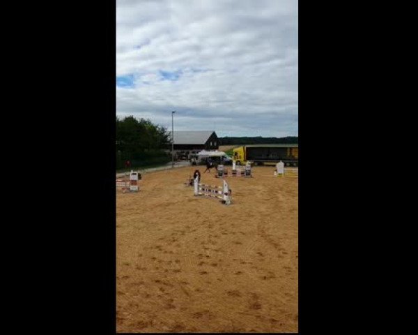 Video of Crumpler