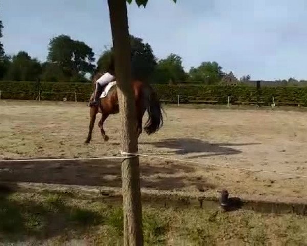Video von Edmund