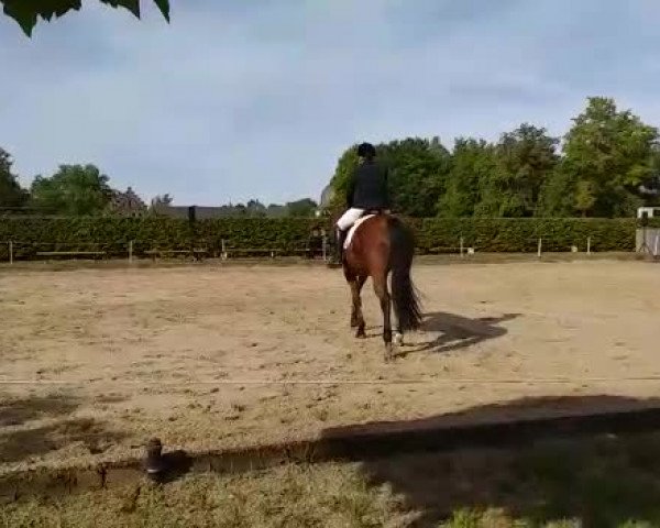 Video von Edmund