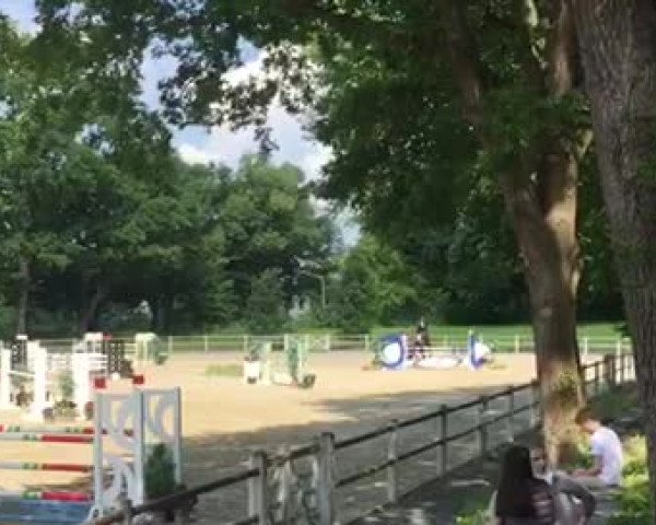 Reitturnier Darmstadt-Kranichstein 2020