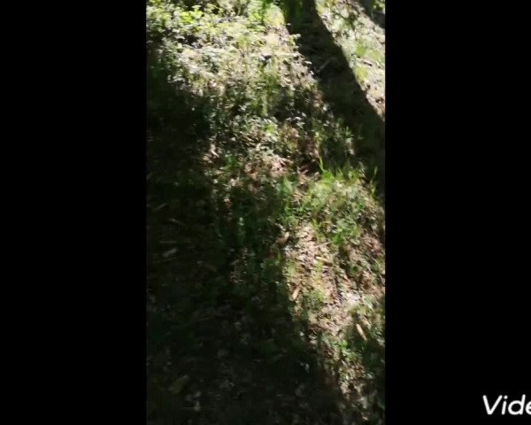 Video of Dolores Umbridge