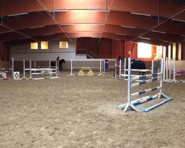 Video von Tilly