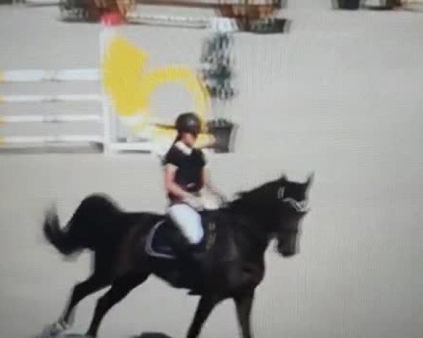 Video von Greta Sw