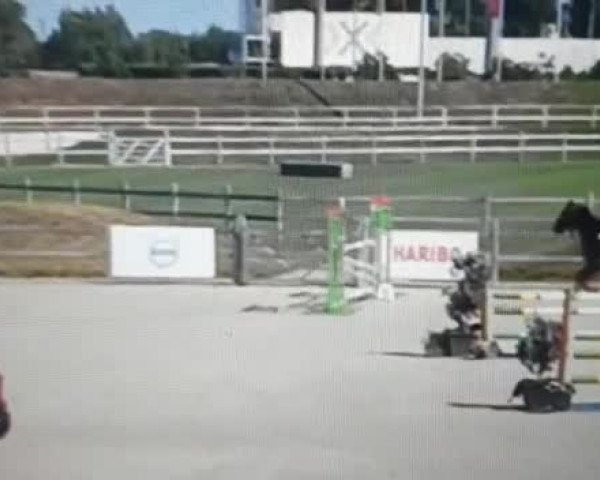 Video von Greta Sw