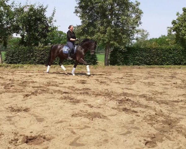 Video of First Selection