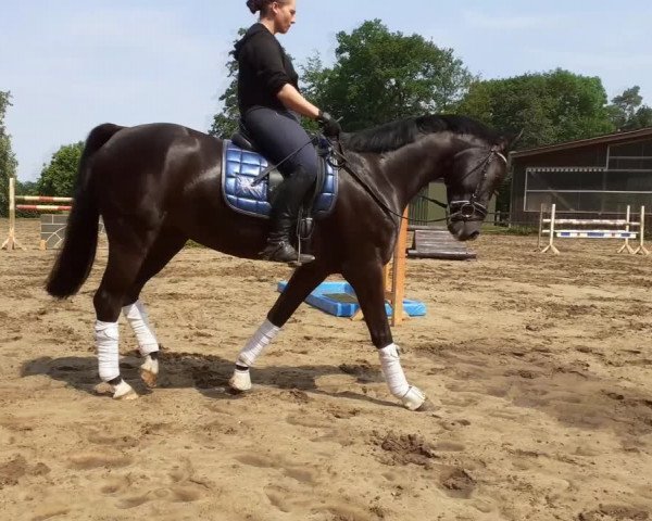 Video of First Selection