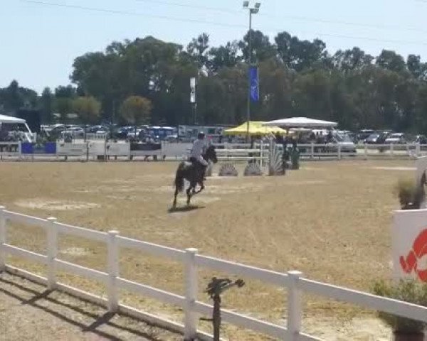 Video of unknown