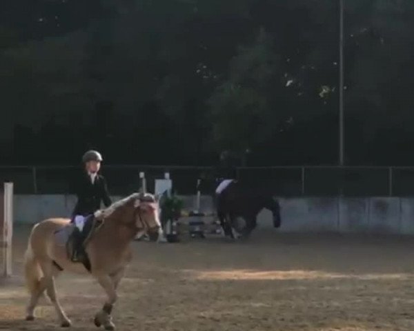 Video of Sambuca 89