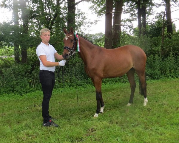 broodmare Carima-Chanel RH (German Riding Pony, 2011, from FS Champion de Luxe)