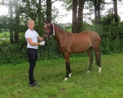 broodmare Carima-Chanel RH (German Riding Pony, 2011, from FS Champion de Luxe)
