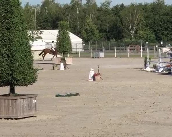 Video of Lord Espania