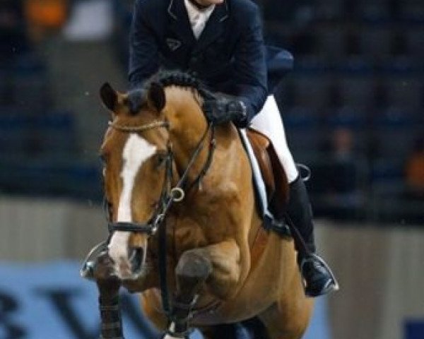 stallion Camirez B (Bavarian, 1992, from Caretello B)