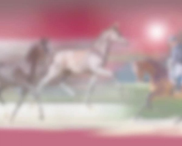 Video von El Camino FH