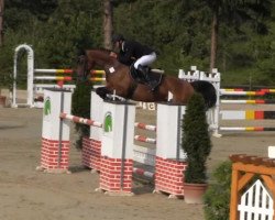 jumper Laconia 7 (Oldenburg, 2008, from Lord Pezi)