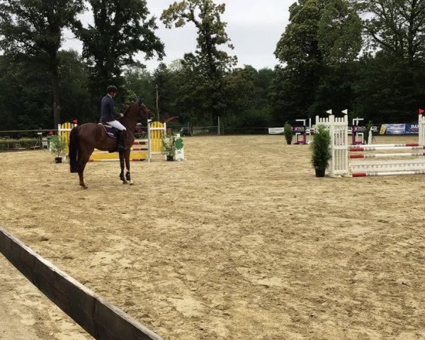 Reitturnier Reken 2019