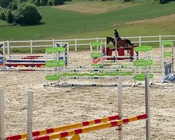Video of Leopold Z
