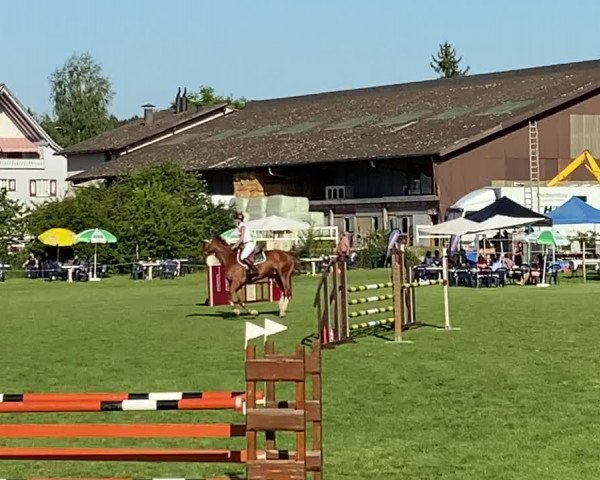 Reitturnier Rickenbach 2020