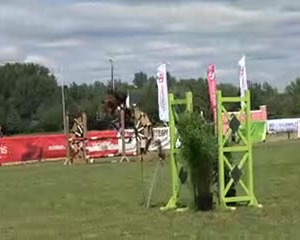 Reitturnier Wilkenburg 2020