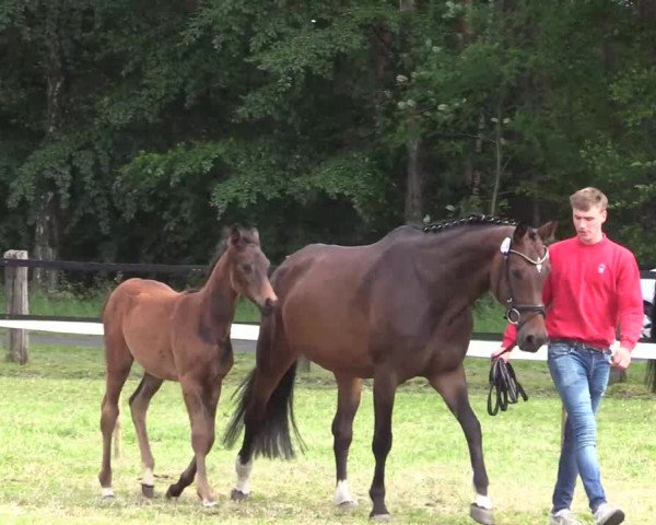 Video of flora