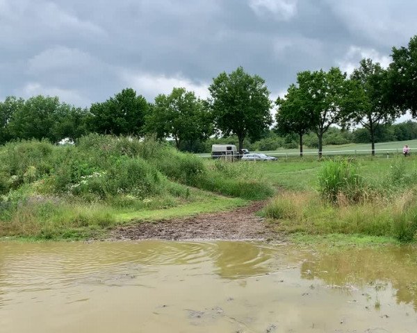 Video of Lilly 671