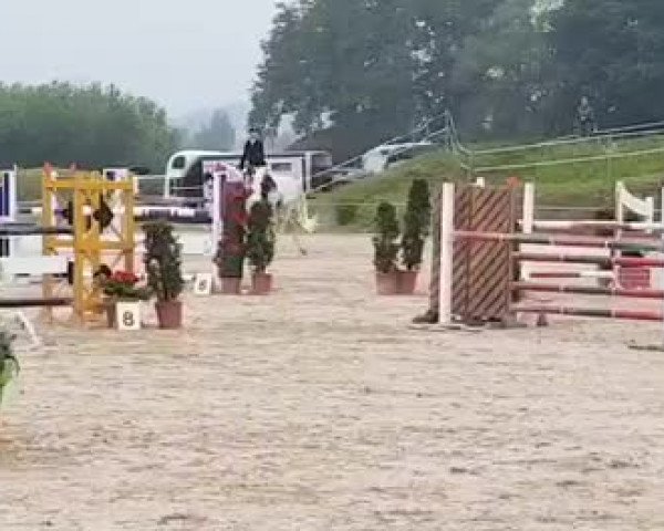 Reitturnier Münster/Ndb. 2020
