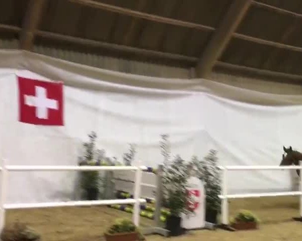 Video von Contesse As.fl. CH