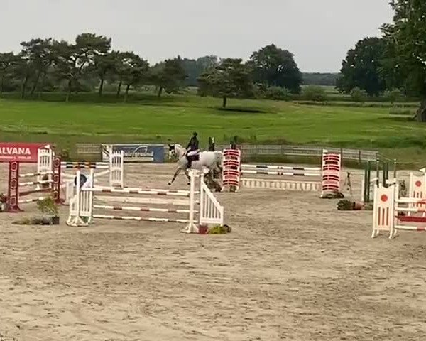 Video of Concaster