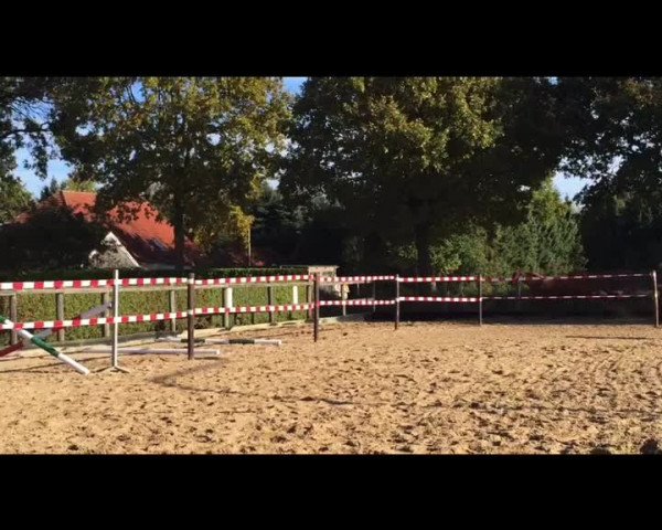 Video von Venicia H