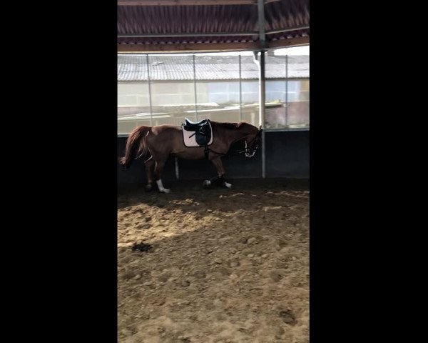 Video of Soleile