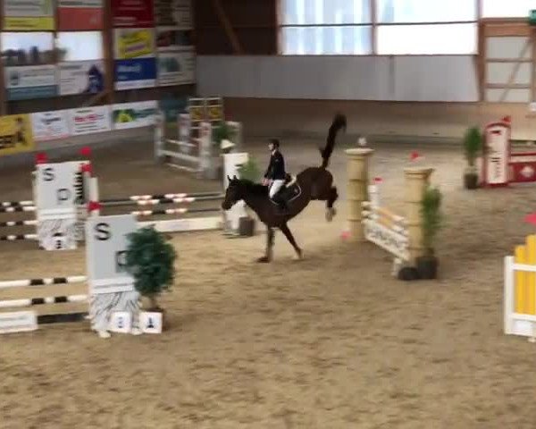 Video di Dalisca's Delight