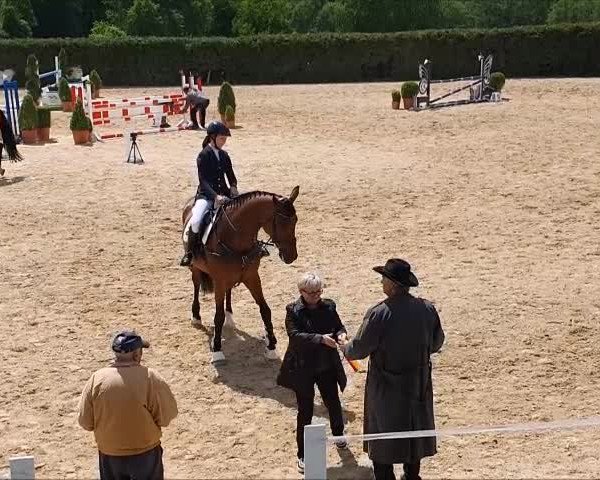 Video of Accenti Igutschie SR