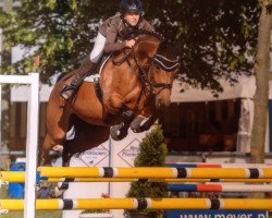 jumper Good Girl 13 (Oldenburg, 2008, from Cevin Costner)
