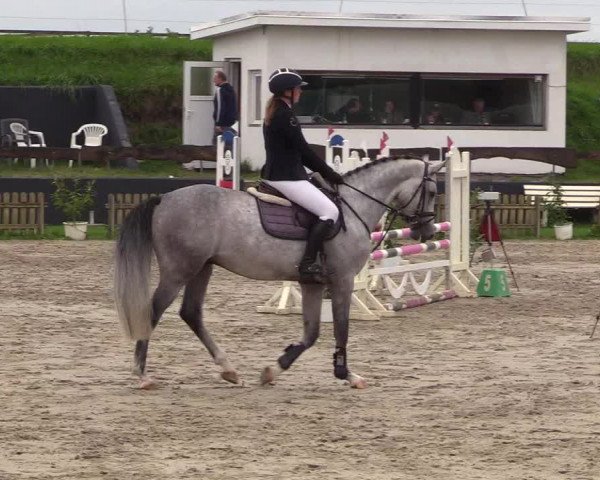 Reitturnier Schülp / Rendsburg 2021