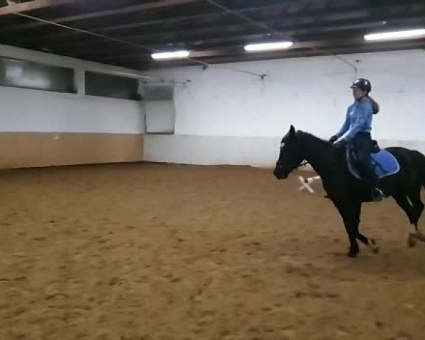 Video of Polly 471