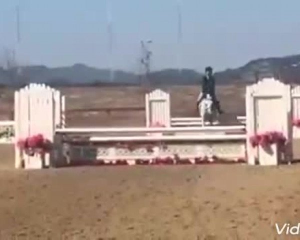 Video von Szépfiu