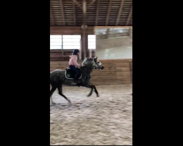 Video of Dinky Inky B