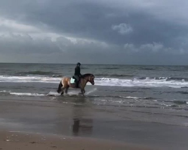 Video of Bea von Dreilinden