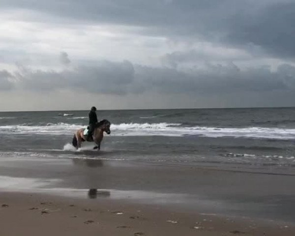 Video of Bea von Dreilinden