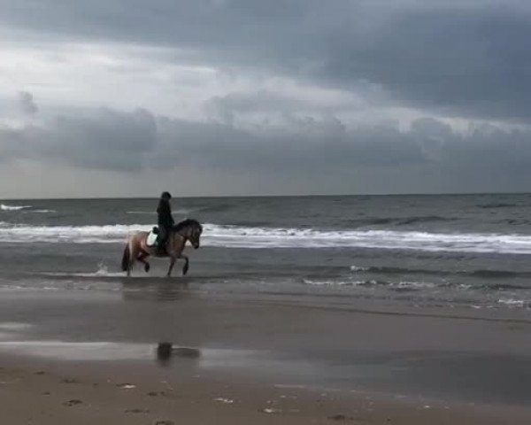 Video of Bea von Dreilinden