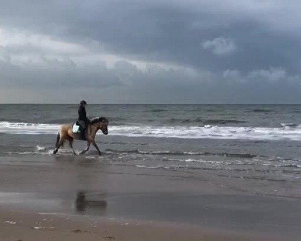 Video of Bea von Dreilinden