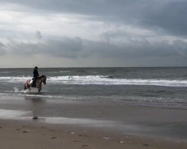 Video of Bea von Dreilinden