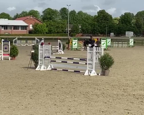 Reitturnier Elmshorn 2020