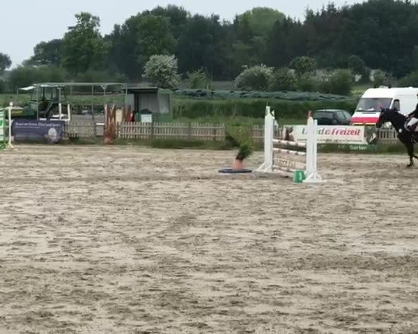 Reitturnier Schülp / Rendsburg 2020