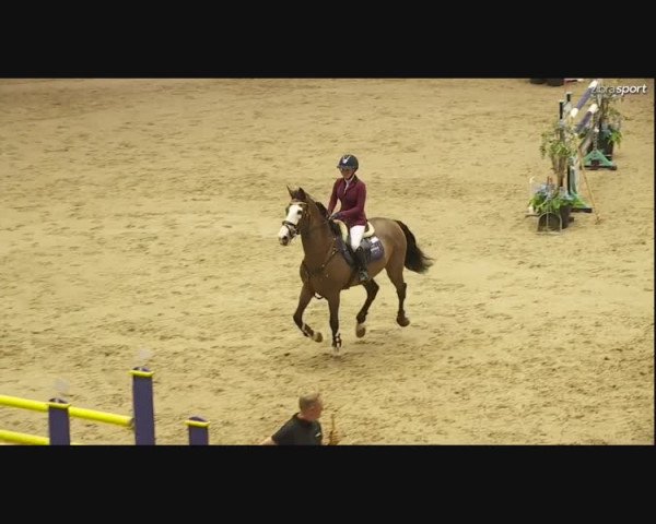 Video von Rockchester