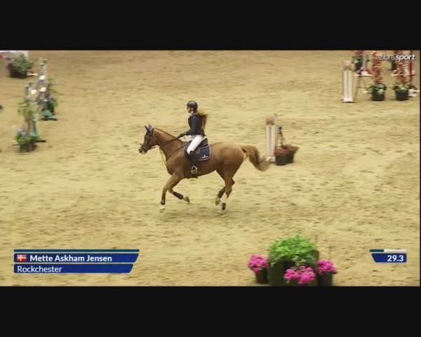 Video von Rockchester