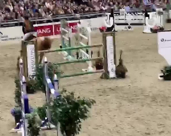 Video von Rockchester